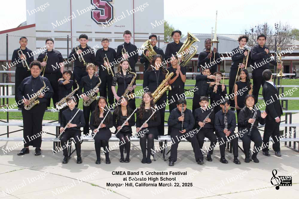 Musical Images
